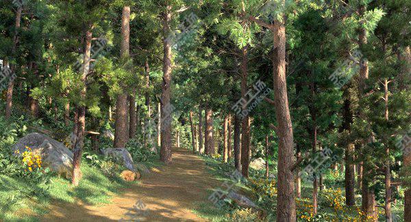 images/goods_img/20210312/3D Jungle With Road For Biking and Hiking model/2.jpg